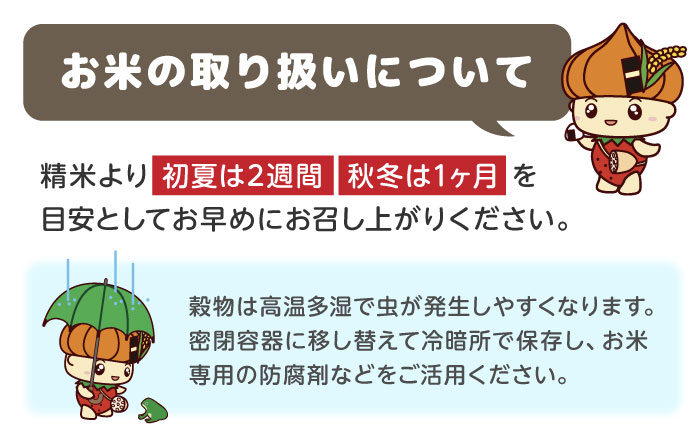【令和7年産】 夢しずく 計10kg（5kg×2袋）【ちわたのふぁーむ】お米 [IDE004]