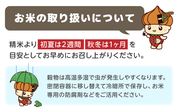【令和7年産】お米の食べ比べセット（さがびより・夢しずく） 計10kg（各5kg）【ちわたのふぁーむ】 米 10kg 食べ比べ   特A 特A評価 精米 佐賀県産 国産米 コメ こめ お米 白米 ブランド米 精白米 おにぎり さがびより ゆめしずく 九州 佐賀県 白石町 人気 おすすめ[IDE005]