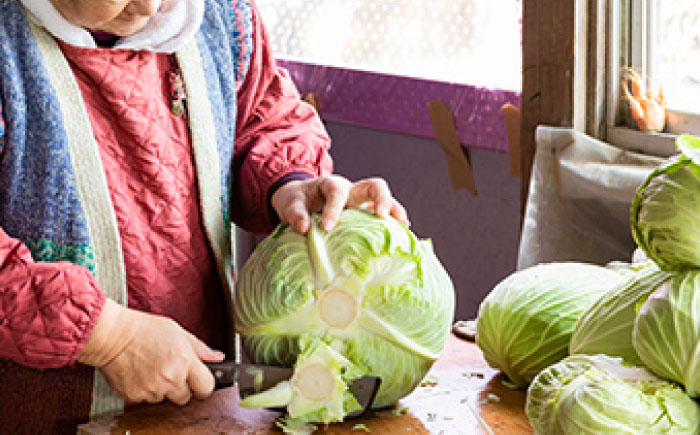 キャベツ 10kg（6-8玉） 【片渕農園】 [IDG005]