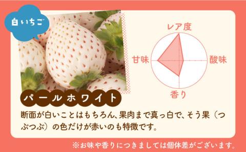 【先行予約】上品な甘さ！希少な白いちご「パールホワイト」220g×2パック / イチゴ [IZZ003]