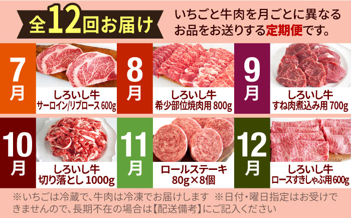【R8年1月以降発送】【先行予約】【全12回定期便】産地直送！白石町産 いちごと牛肉の贅沢定期便 [IZZ010]