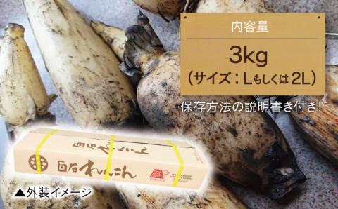 【年内発送】レンコンの名産地！白石町産 泥付き れんこん（3kg） /レンコン 蓮根 佐賀県産 野菜 根菜 高品質 [IZZ011]