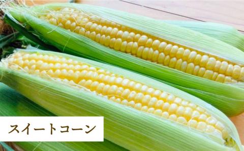 【先行予約】【全3回定期便】紅白いちご（淡雪・さがほのか）とスイートコーン / イチゴ [IZZ016]