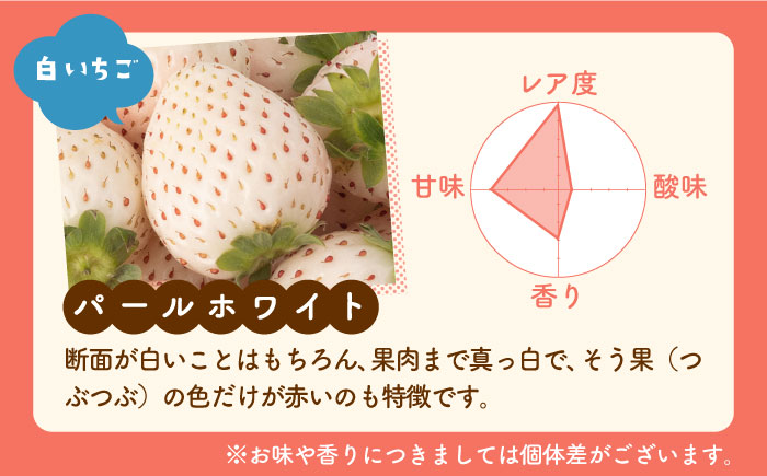 【先行予約】【産地直送】希少 白いちご「パールホワイト」220g×4パック [IZZ020] イチゴ