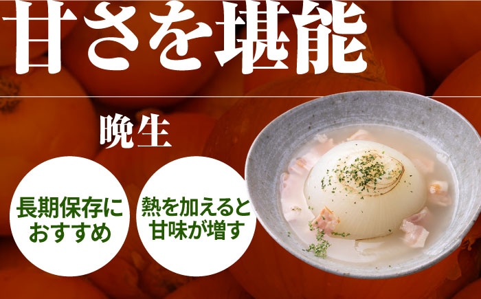 【2026年発送分先行予約！】【2回定期便】牛丼コンビ！牛肉 と 玉ねぎ / 切り落とし 玉葱 新玉 九州 [IZZ031]