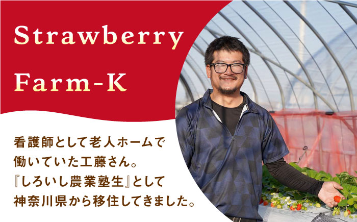 【先行予約】【農家直送】いちごさん（240g×2パック）【StrawberryFarm-K】イチゴ [IBJ001]