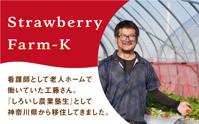 【先行予約】【農家直送】赤いちご 食べ比べ！かおり野＆いちごさん 各240g 詰め合わせ セット（計480g）【StrawberryFarm-K】イチゴ [IBJ006]