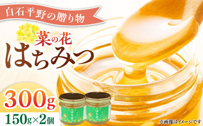 【白石町産】【糖が多くクリーミー】菜の花はちみつ 150g×2個 【道の駅しろいしカンパニー】調味料 [IAA020]