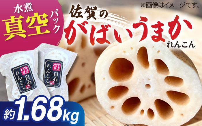 【お手軽調理！】白石町産 水煮れんこん 120g×14袋（カット有り/真空パック）【有限会社白石開発】蓮根 れんこん レンコン [IBN003]