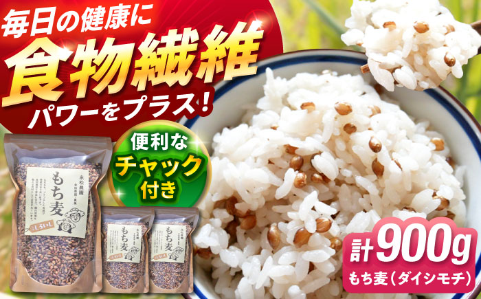 【令和6年度産】【腸内環境整える健康食品！】白石産もち麦900g 【道の駅しろいしカンパニー】ご飯 もち麦 [IAA003]