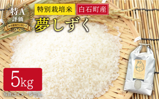 【令和6年度産】特別栽培米 白石産 夢しずく（5kg）【道の駅しろいしカンパニー】白米 [IAA008]