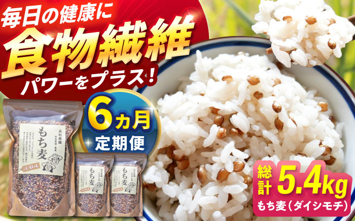 【令和6年度産】【全6回定期便】白石産 もち麦 900g（300g×3袋）/回（総計5.4kg）【道の駅しろいしカンパニー】ご飯 [IAA035]