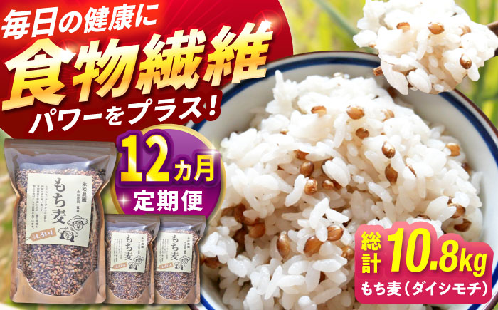 【令和6年度産】【全12回定期便】白石産 もち麦 900g（300g×3袋）/回（総計10.8kg）【道の駅しろいしカンパニー】ご飯 [IAA036]