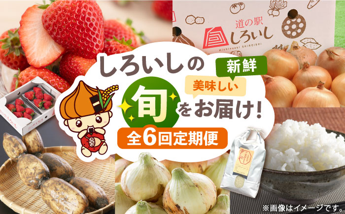 【6回定期便】【旬の農産物をお届け！】しろいし 産直定期便【道の駅しろいしカンパニー】野菜 [IAA042]