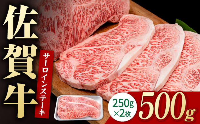 佐賀牛 贅沢 サーロイン ステーキ 250g×2枚（計500g）【株式会社いろは精肉店】牛肉 [IAG051]