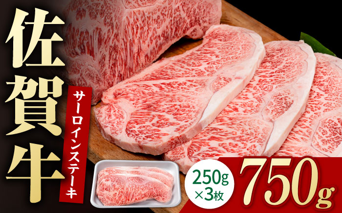 佐賀牛 贅沢 サーロイン ステーキ 250g×3枚（計750g）【株式会社いろは精肉店】牛肉 [IAG052]