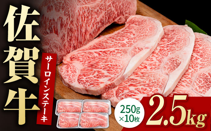 佐賀牛 贅沢 サーロイン ステーキ 250g×10枚（計2500g）【株式会社いろは精肉店】牛肉 [IAG055]
