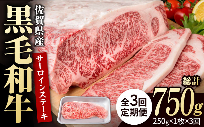 【3回定期便】佐賀県産 黒毛和牛 贅沢 サーロイン ステーキ 250g×1枚【株式会社いろは精肉店】佐賀産和牛 牛肉 [IAG084]