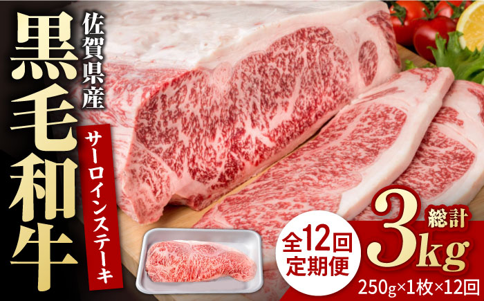 【12回定期便】佐賀県産 黒毛和牛 贅沢 サーロイン ステーキ 250g×1枚【株式会社いろは精肉店】佐賀産和牛 牛肉 [IAG086]