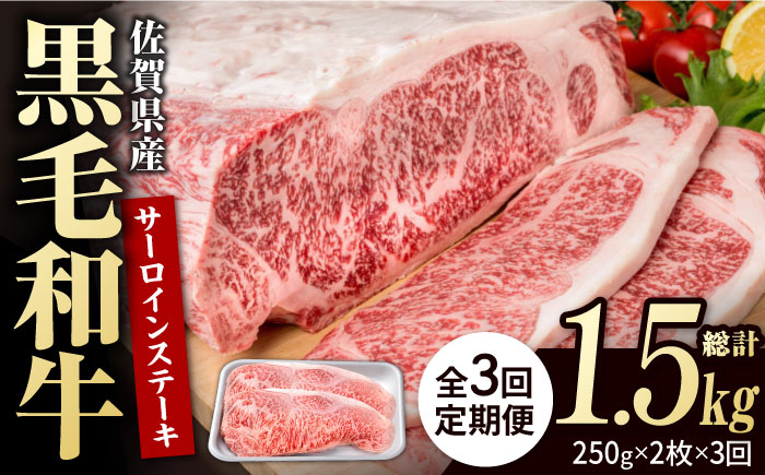 【3回定期便】佐賀県産 黒毛和牛 贅沢 サーロイン ステーキ 250g×2枚（計500g）【株式会社いろは精肉店】佐賀産和牛 牛肉 [IAG087]