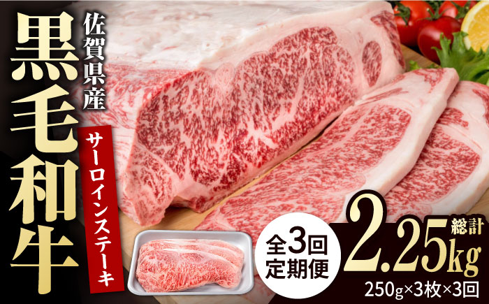 【3回定期便】佐賀県産 黒毛和牛 贅沢 サーロイン ステーキ 250g×3枚（計750g）【株式会社いろは精肉店】佐賀産和牛 牛肉 [IAG090]