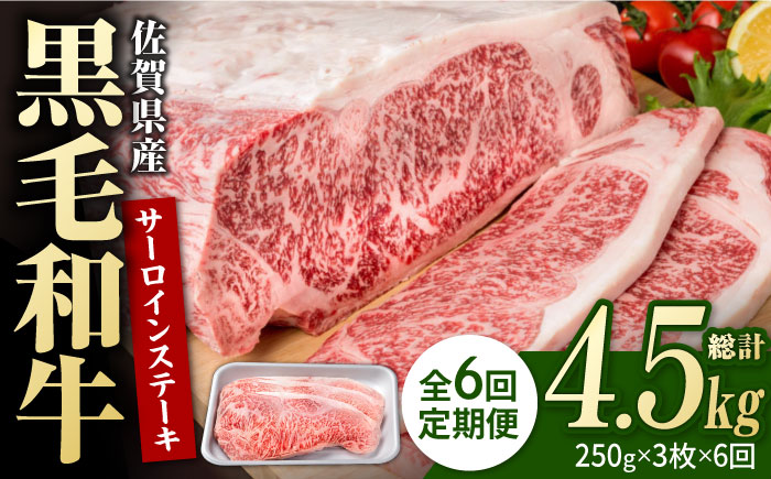 【6回定期便】佐賀県産 黒毛和牛 贅沢 サーロイン ステーキ 250g×3枚（計750g）【株式会社いろは精肉店】佐賀産和牛 牛肉 [IAG091]