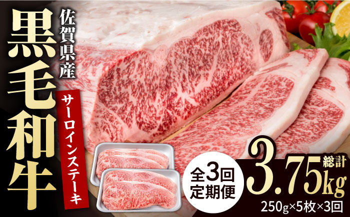 【3回定期便】佐賀県産 黒毛和牛 贅沢 サーロイン ステーキ 250g×5枚（計1250g）【株式会社いろは精肉店】佐賀産和牛 牛肉 [IAG093]