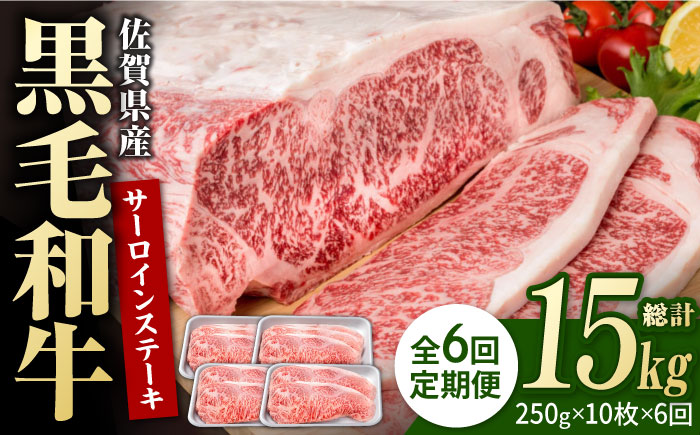 【6回定期便】佐賀県産 黒毛和牛 贅沢 サーロイン ステーキ 250g×10枚（計2.5kg）【株式会社いろは精肉店】佐賀産和牛 牛肉 [IAG097]