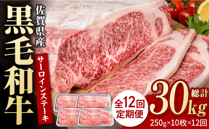 【12回定期便】佐賀県産 黒毛和牛 贅沢 サーロイン ステーキ 250g×10枚（計2.5kg）【株式会社いろは精肉店】佐賀産和牛 牛肉 [IAG098]