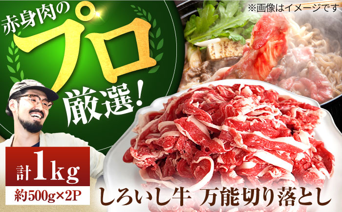 【牧場直送】佐賀県産しろいし牛 万能切落し 1kg（500g×2パック） 【有限会社佐賀セントラル牧場】牛肉 切り落とし [IAH005]