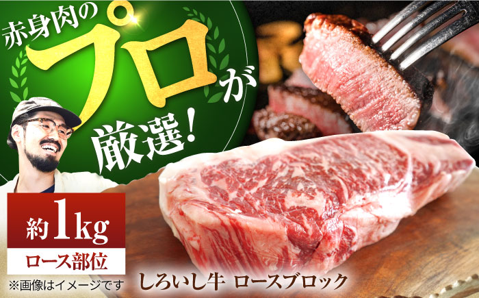 【牧場直送】佐賀県産しろいし牛 ロースブロック 1000g【有限会社佐賀セントラル牧場】ブロック肉 [IAH012]