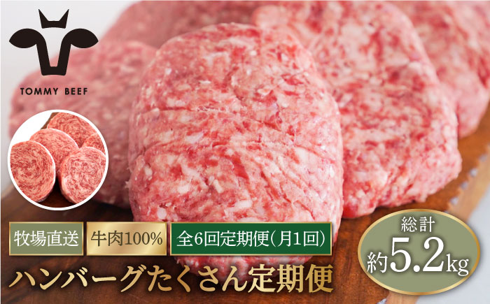 【牧場直送】【6回定期便】家族に優しい！ハンバーグ＆ロールステーキ定期便 【有限会社佐賀セントラル牧場】牛肉 [IAH028]