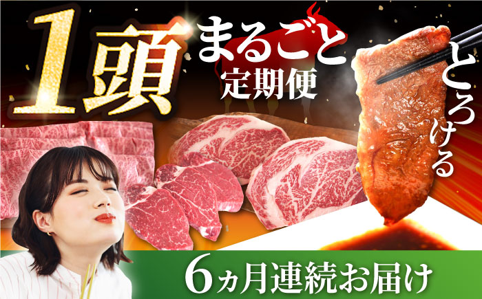 【6回定期便】佐賀県産しろいし牛 1頭まるごと定期便【有限会社佐賀セントラル牧場】牛肉 [IAH032]