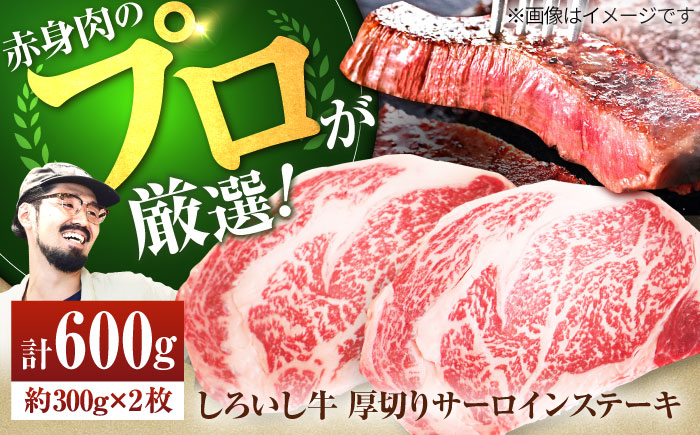 【牧場直送】佐賀県産しろいし牛 厚切りステーキ（サーロイン） 計600g（約300g×2枚）【有限会社佐賀セントラル牧場】牛肉 [IAH037]