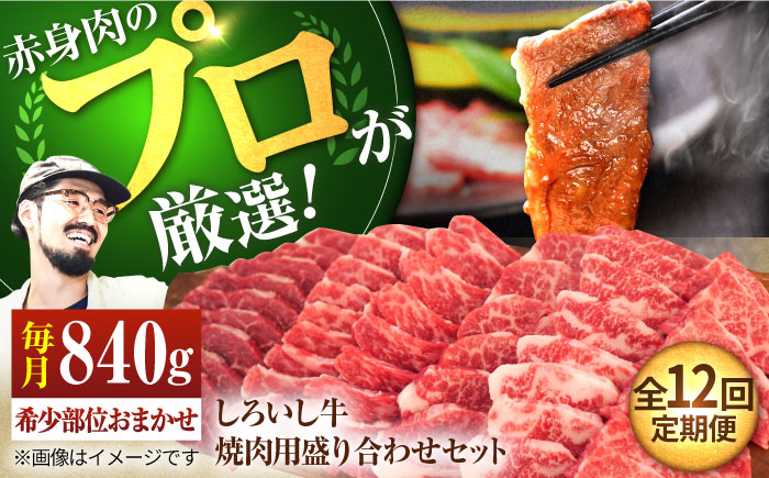 【牧場直送】【12回定期便】佐賀県産しろいし牛 焼肉用盛り合わせセット（希少部位）各回840g【有限会社佐賀セントラル牧場】牛肉 [IAH048]