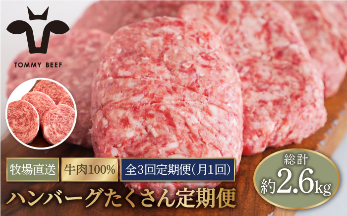 【牧場直送】【3回定期便】家族に優しい！ハンバーグ＆ロールステーキ 【有限会社佐賀セントラル牧場】牛肉 [IAH049]