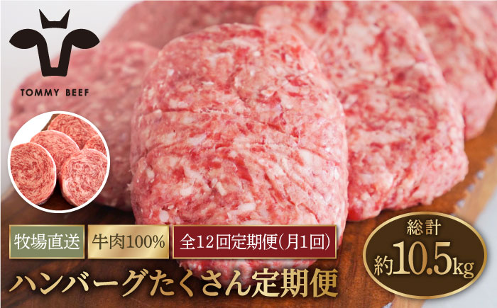 【牧場直送】【12回定期便】家族に優しい！ハンバーグ＆ロールステーキ 【有限会社佐賀セントラル牧場】牛肉 [IAH050]