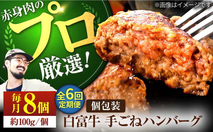 【牧場直送】【6回定期便】白富牛 岩塩と牛肉のみで作った手ごねハンバーグ 100g×8個【有限会社佐賀セントラル牧場】おかず [IAH055]