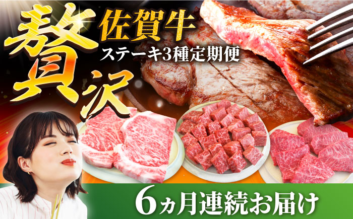 【牧場直送】【6回定期便】佐賀牛 贅沢 ステーキ食べ尽くし【有限会社セントラル牧場】牛肉 [IAH081]