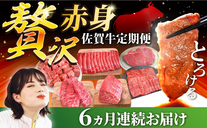 【牧場直送】【6回定期便】佐賀牛 贅沢 赤身【有限会社セントラル牧場】牛肉 [IAH084]