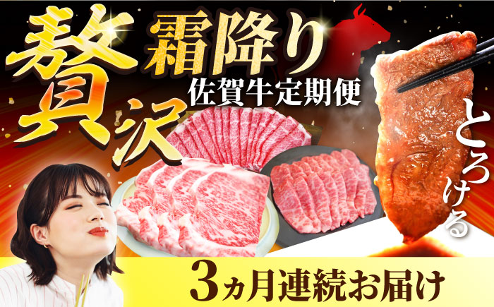 【牧場直送】【3回定期便】佐賀牛 贅沢 霜降り【有限会社セントラル牧場】牛肉 [IAH086]