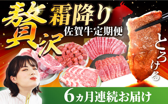 【牧場直送】【6回定期便】佐賀牛 贅沢 霜降り【有限会社セントラル牧場】牛肉 [IAH087]