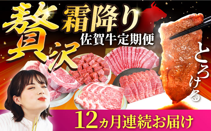 【牧場直送】【12回定期便】佐賀牛 贅沢 霜降り【有限会社セントラル牧場】牛肉 [IAH088]