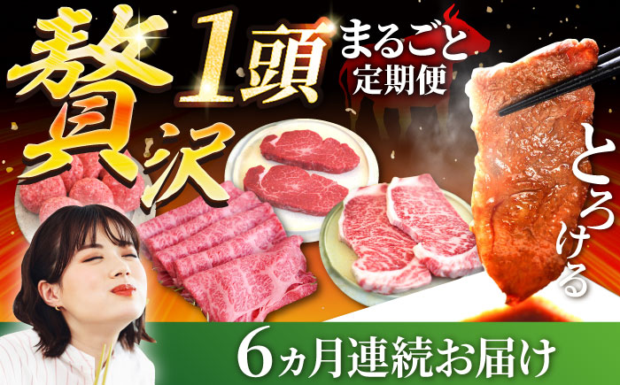 【牧場直送】【6回定期便】佐賀牛 贅沢 1頭まるごと シルバーコース【有限会社セントラル牧場】牛肉 [IAH089]