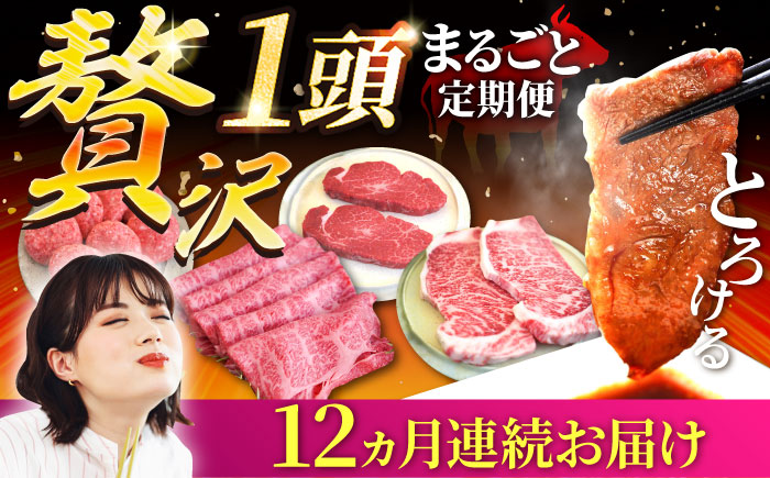 【牧場直送】【12回定期便】佐賀牛 贅沢 1頭まるごと ゴールドコース【有限会社セントラル牧場】牛肉 [IAH090]