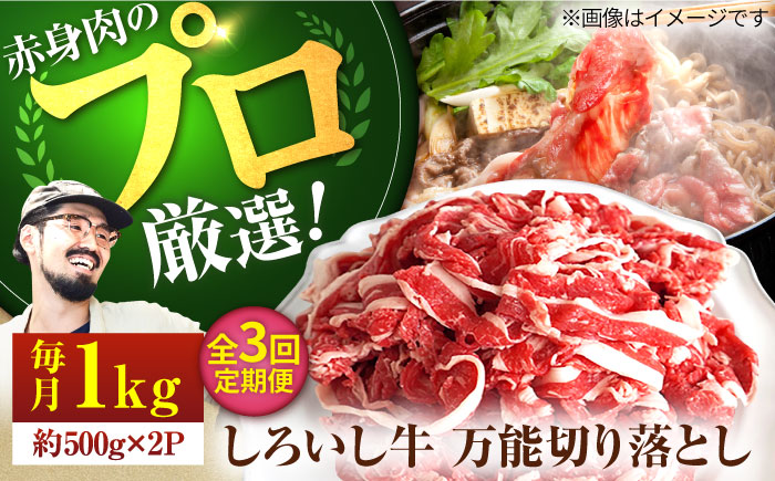 【牧場直送】【3回定期便】佐賀県産しろいし牛 万能切落し 1kg（500g×2パック） 【有限会社佐賀セントラル牧場】牛肉 [IAH133]