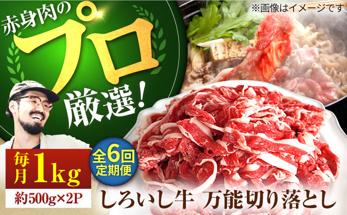 【牧場直送】【6回定期便】佐賀県産しろいし牛 万能切落し 1kg（500g×2パック） 【有限会社佐賀セントラル牧場】牛肉 [IAH134]