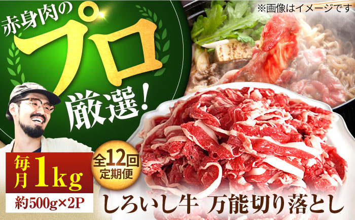 【牧場直送】【12回定期便】佐賀県産しろいし牛 万能切落し  1kg（500g×2パック） 【有限会社佐賀セントラル牧場】牛肉 [IAH135]