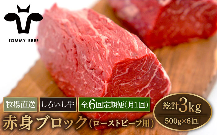 【牧場直送】【6回定期便】佐賀県産しろいし牛 赤身ブロック（ローストビーフ用）500g【有限会社佐賀セントラル牧場】牛肉 [IAH137]