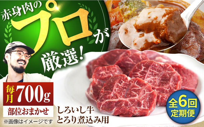 【牧場直送】【6回定期便】佐賀県産しろいし牛 とろり煮込み用 700g【有限会社佐賀セントラル牧場】牛肉 [IAH140]